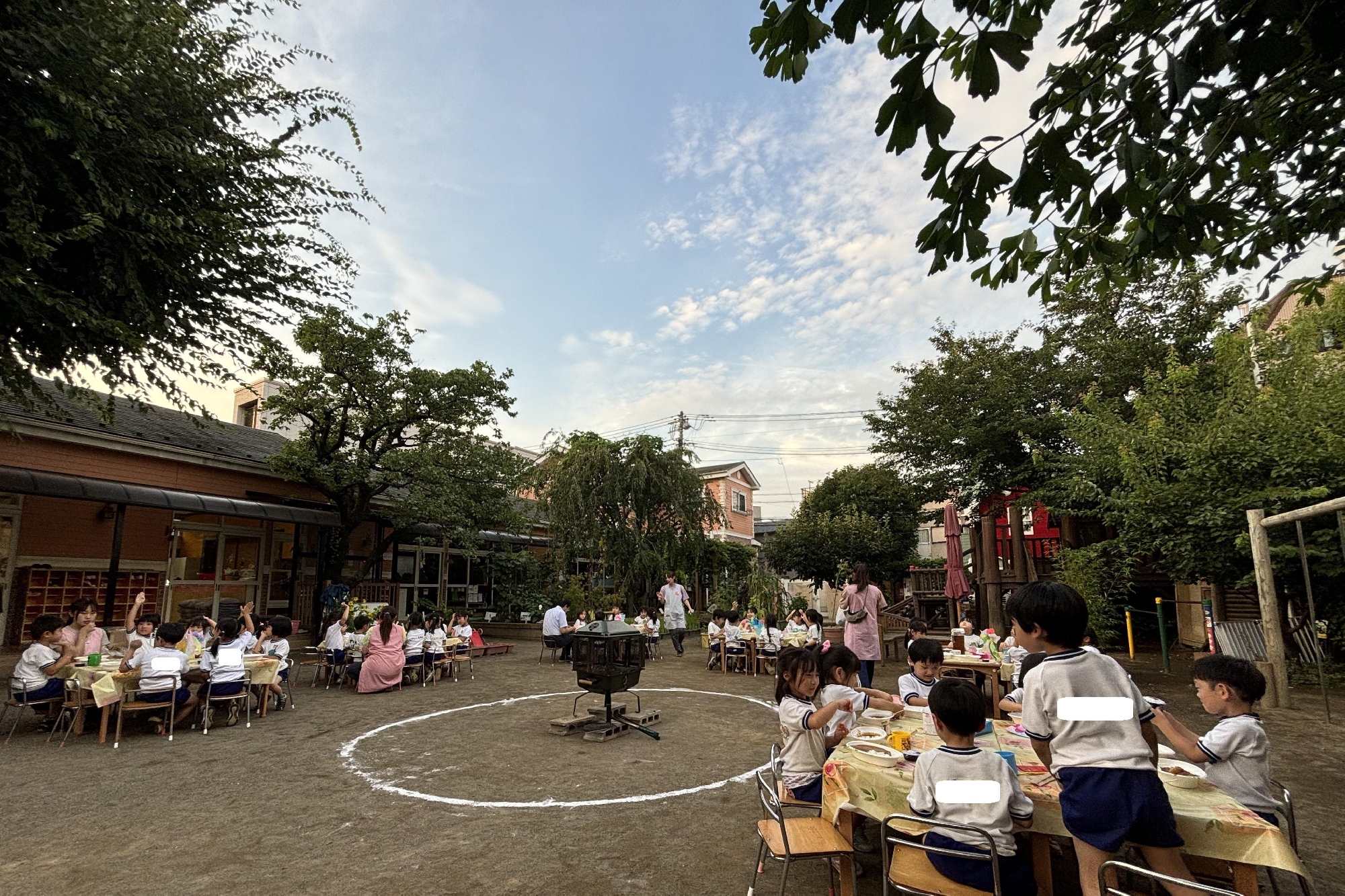 アンズの収穫祭