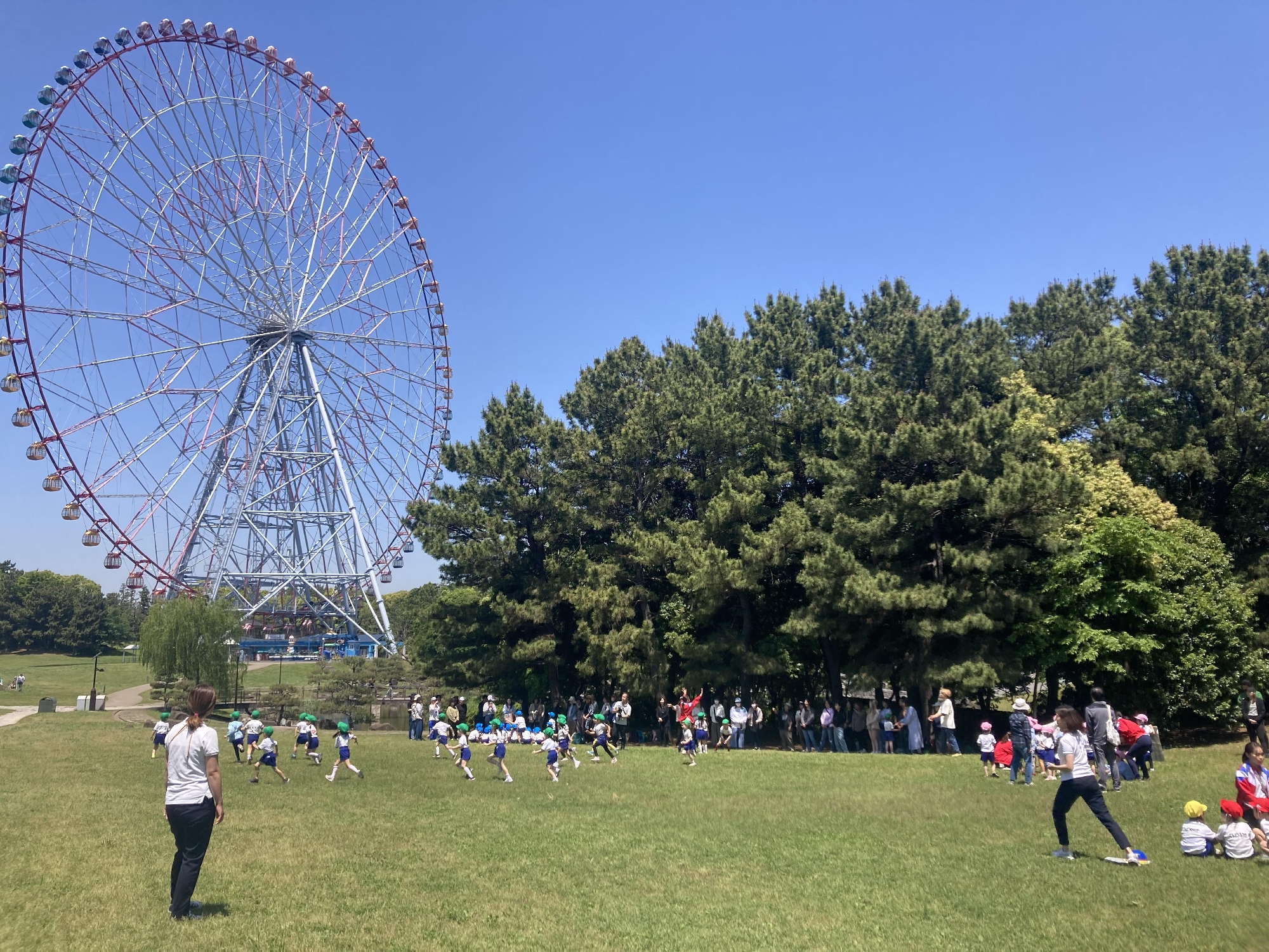 イチゴの収穫祭