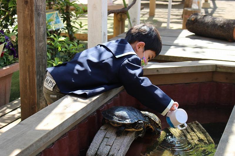 入園式・進級式